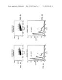 ANTAGONISTS OF TWEAK AND OF TWEAK RECEPTOR AND THEIR USE TO TREAT IMMUNOLOGICAL DISORDERS diagram and image