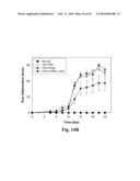 High Affinity Antibodies Against HMGB1 and Methods Of Use Thereof diagram and image