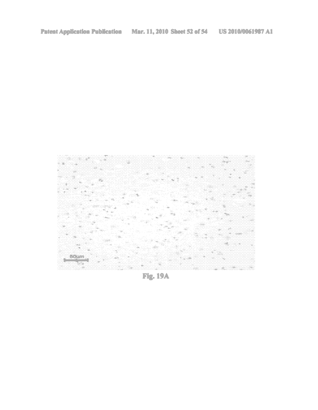 High Affinity Antibodies Against HMGB1 and Methods Of Use Thereof - diagram, schematic, and image 53