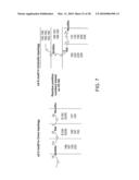 Hemagglutinin Polypeptides, and Reagents and Methods Relating Thereto diagram and image