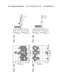 Hemagglutinin Polypeptides, and Reagents and Methods Relating Thereto diagram and image