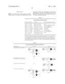 Hemagglutinin Polypeptides, and Reagents and Methods Relating Thereto diagram and image