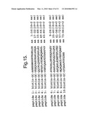 Antibodies diagram and image