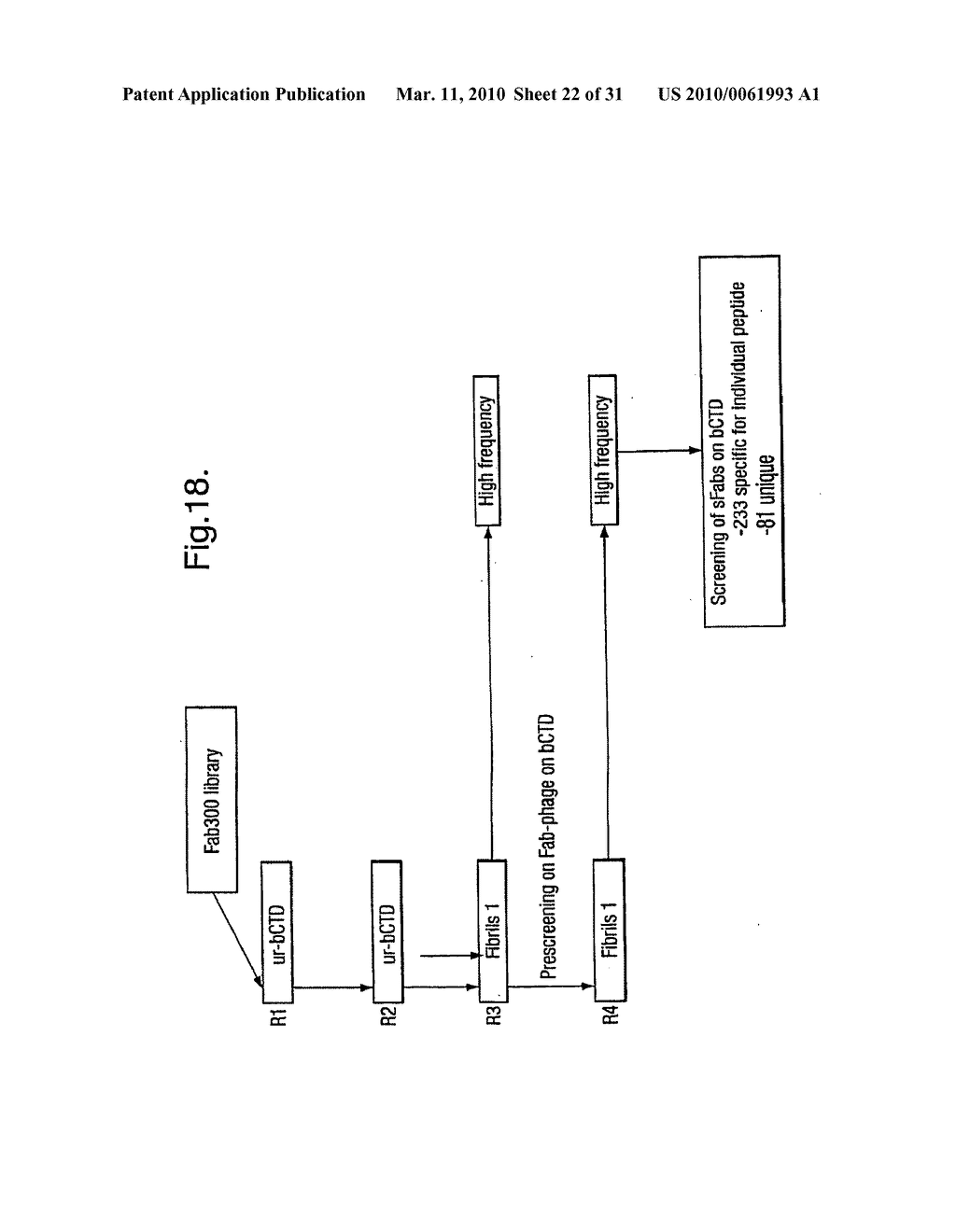 Antibodies - diagram, schematic, and image 23