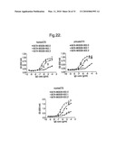 Antibodies diagram and image