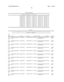 Antibodies diagram and image