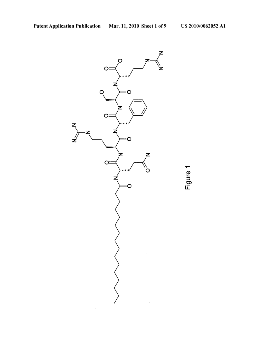 PEPTIDE-BASED COMPOUNDS AS NEW INHIBITORS OF METALLOECTOPEPTIDASES, COMPOSITIONS COMPRISING SAID COMPOUNDS AND THEIR PHARMACEUTICAL AND COSMETIC USES - diagram, schematic, and image 02