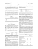 HIGHLY ABSORBENT COMPOSITE AND METHOD OF MAKING THE SAME diagram and image