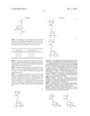 DOUBLE PATTERNING PROCESS diagram and image