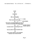 Immobilisation and application of antigenic carbohydrates to detect infective micro-organisms diagram and image