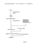 Immobilisation and application of antigenic carbohydrates to detect infective micro-organisms diagram and image