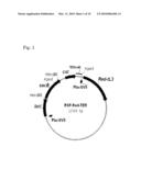 L-AMINO ACID PRODUCING MICROORGANISM AND A METHOD FOR PRODUCING AN L-AMINO ACID diagram and image