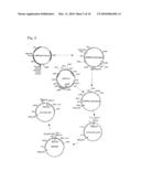 L-AMINO ACID PRODUCING MICROORGANISM AND A METHOD FOR PRODUCING AN L-AMINO ACID diagram and image