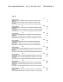 L-AMINO ACID PRODUCING MICROORGANISM AND A METHOD FOR PRODUCING AN L-AMINO ACID diagram and image