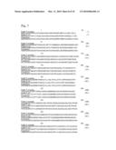 L-AMINO ACID PRODUCING MICROORGANISM AND A METHOD FOR PRODUCING AN L-AMINO ACID diagram and image