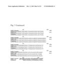 L-AMINO ACID PRODUCING MICROORGANISM AND A METHOD FOR PRODUCING AN L-AMINO ACID diagram and image