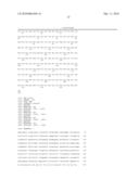 L-AMINO ACID PRODUCING MICROORGANISM AND A METHOD FOR PRODUCING AN L-AMINO ACID diagram and image