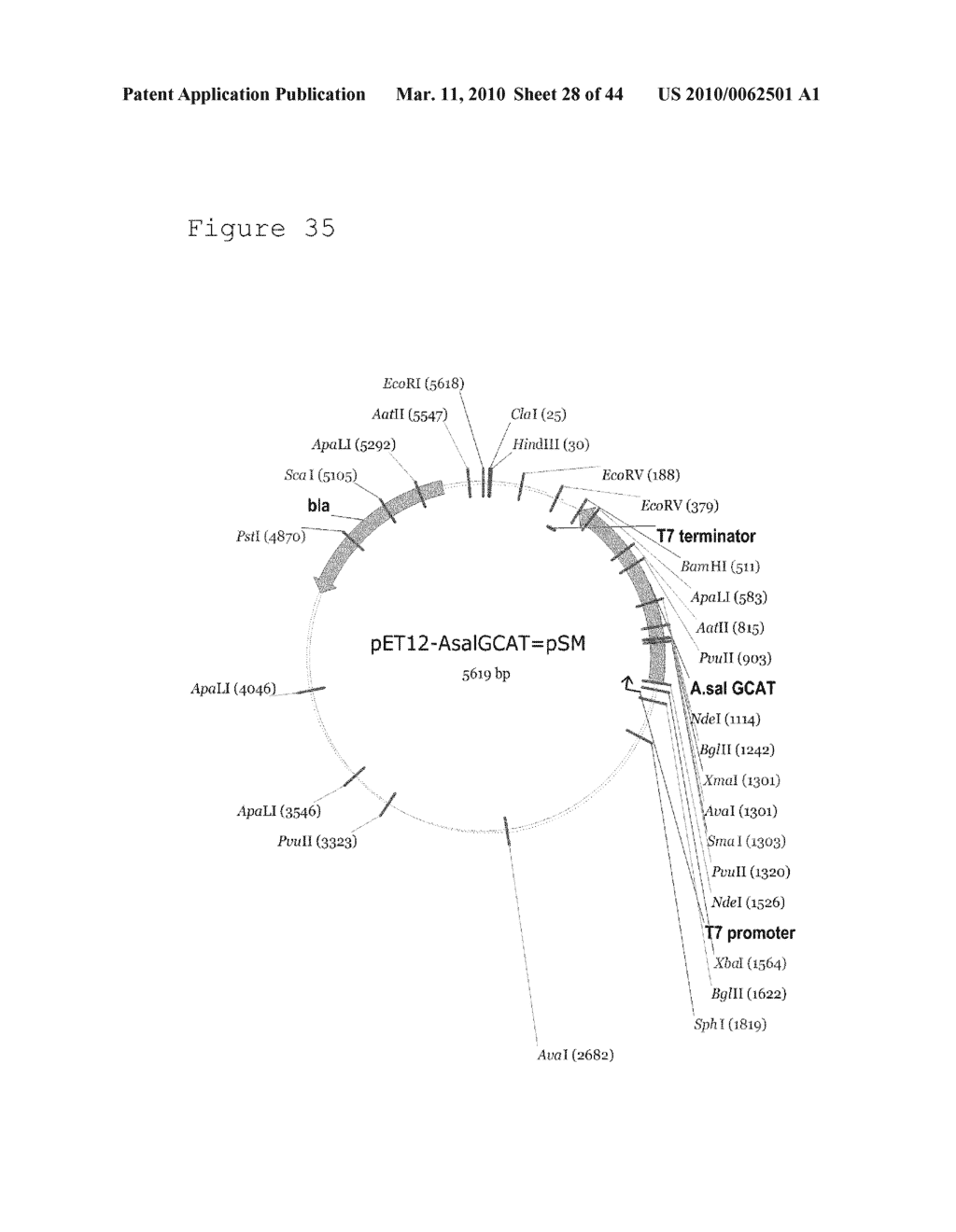 METHOD - diagram, schematic, and image 29