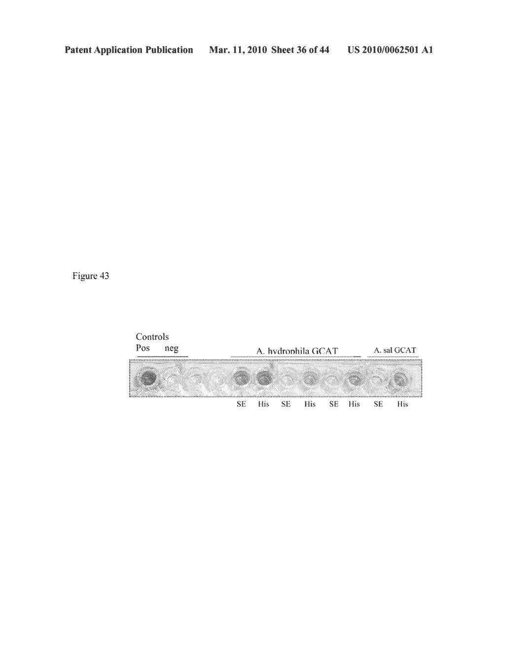 METHOD - diagram, schematic, and image 37