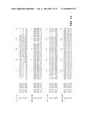 MODIFIED ENZYMES, METHODS TO PRODUCE MODIFIED ENZYMES AND USES THEREOF diagram and image