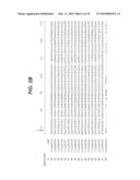 MODIFIED ENZYMES, METHODS TO PRODUCE MODIFIED ENZYMES AND USES THEREOF diagram and image