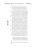 MODIFIED ENZYMES, METHODS TO PRODUCE MODIFIED ENZYMES AND USES THEREOF diagram and image