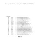 MODIFIED ENZYMES, METHODS TO PRODUCE MODIFIED ENZYMES AND USES THEREOF diagram and image