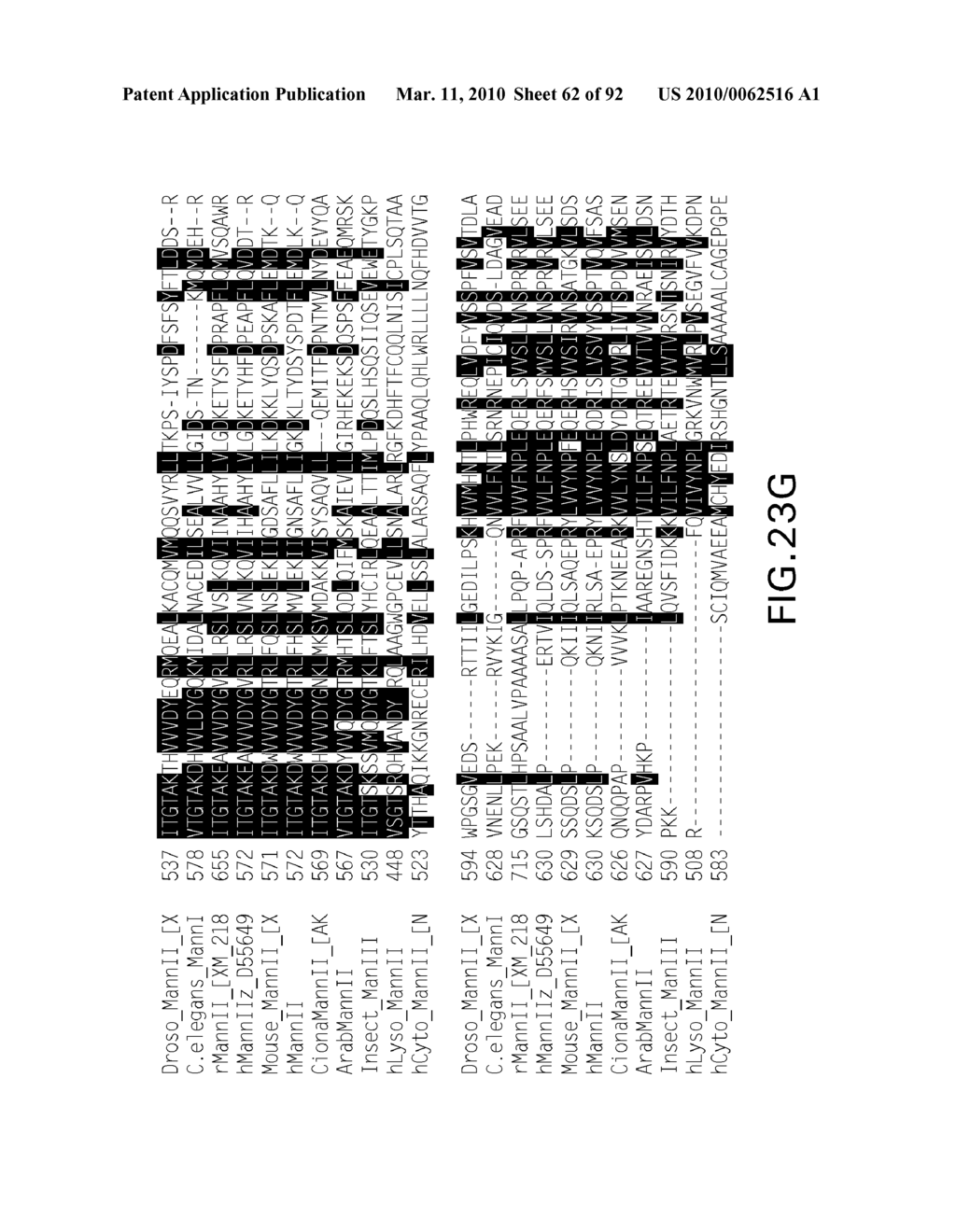 Expression of Class 2 Mannosidase and Class III Mannosidase in Lower Eukaryotic Cells - diagram, schematic, and image 63