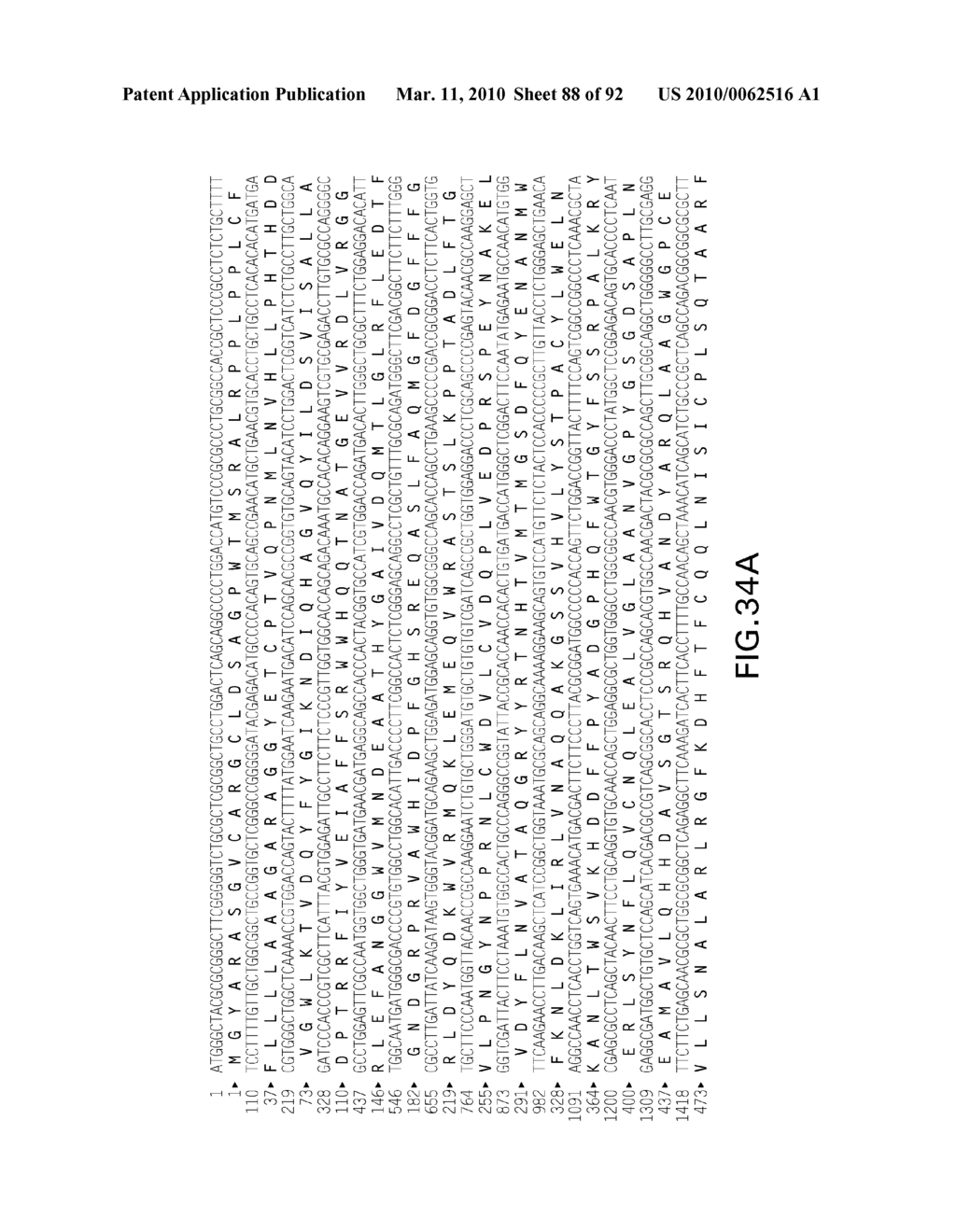 Expression of Class 2 Mannosidase and Class III Mannosidase in Lower Eukaryotic Cells - diagram, schematic, and image 89