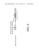 METHODS AND COMPOSITIONS RELATING TO IMPROVED LENTIVIRAL VECTOR PRODUCTION SYSTEMS diagram and image