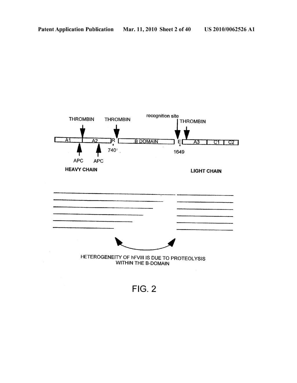 OPTIMIZED MESSENGER RNA - diagram, schematic, and image 03