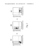 Adiponectin receptor and gene encoding the same diagram and image