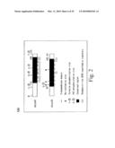 Adiponectin receptor and gene encoding the same diagram and image