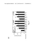 Adiponectin receptor and gene encoding the same diagram and image