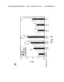 Adiponectin receptor and gene encoding the same diagram and image