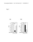 Adiponectin receptor and gene encoding the same diagram and image