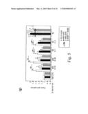 Adiponectin receptor and gene encoding the same diagram and image