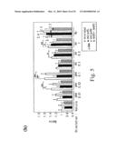 Adiponectin receptor and gene encoding the same diagram and image