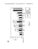 Adiponectin receptor and gene encoding the same diagram and image