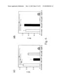 Adiponectin receptor and gene encoding the same diagram and image