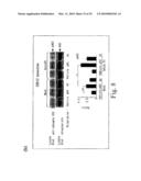 Adiponectin receptor and gene encoding the same diagram and image