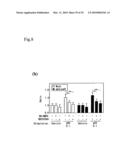 Adiponectin receptor and gene encoding the same diagram and image