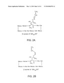 Synthesis of Cyclosporin Analogs diagram and image