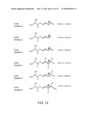 Synthesis of Cyclosporin Analogs diagram and image