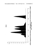 OPTIMAL BIOLOGICAL MARKER FOR THE BIOLOGICAL POTENCY OF Emblica Officinalis Gaertn. (AMLA) FRUIT-METHODS AND PRODUCTS THEREOF diagram and image