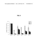 SMALL INTERFERING RNA AND PHARMACEUTICAL COMPOSITION FOR TREATMENT OF HEPATITIS B COMPRISING THE SAME diagram and image