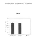 SMALL INTERFERING RNA AND PHARMACEUTICAL COMPOSITION FOR TREATMENT OF HEPATITIS B COMPRISING THE SAME diagram and image