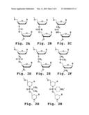 ANTISENSE ANTIVIRAL COMPOUND AND METHOD FOR TREATING ARENAVIRUS INFECTION diagram and image