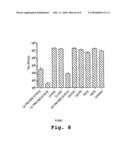 ANTISENSE ANTIVIRAL COMPOUND AND METHOD FOR TREATING ARENAVIRUS INFECTION diagram and image