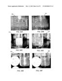 SYSTEMS AND METHODS FOR CONTROLLING AND FORMING POLYMER GELS diagram and image